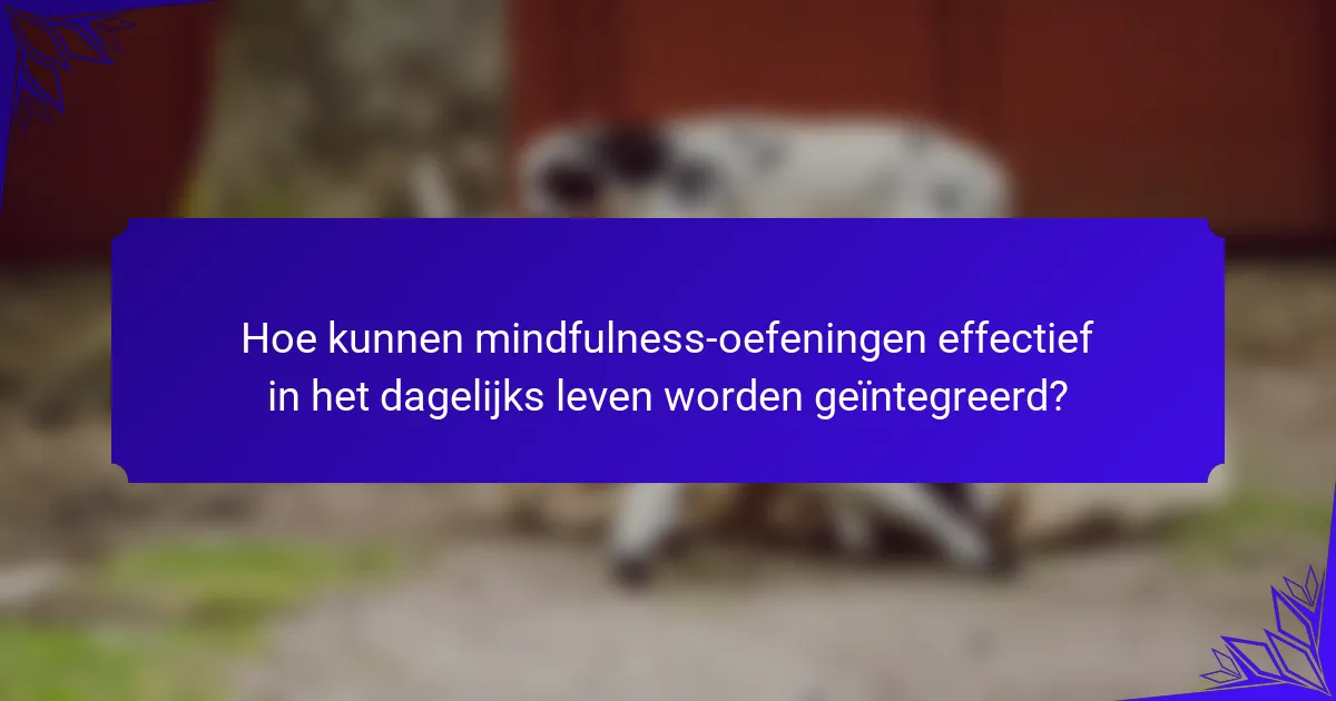 Hoe kunnen mindfulness-oefeningen effectief in het dagelijks leven worden geïntegreerd?