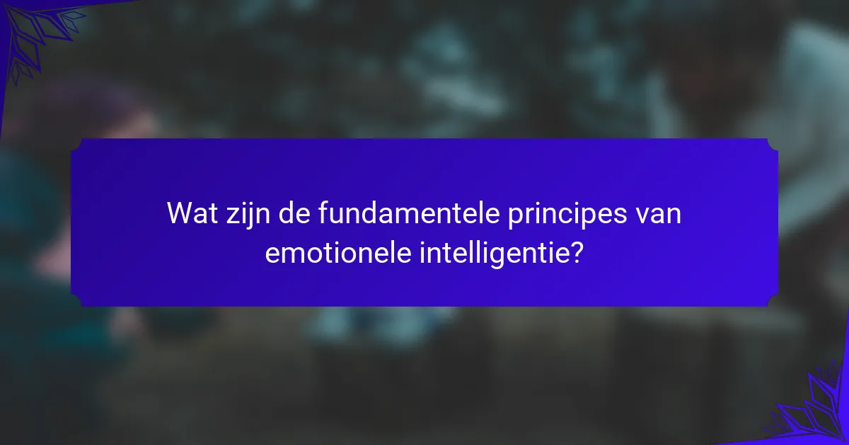 Wat zijn de fundamentele principes van emotionele intelligentie?