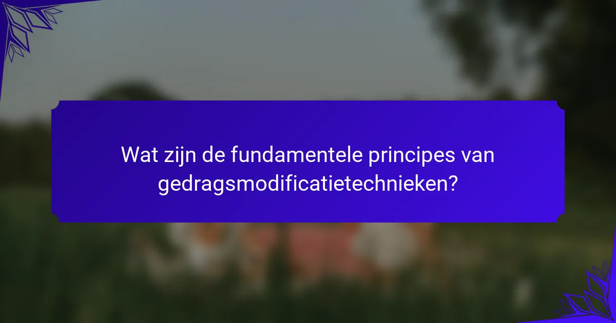 Wat zijn de fundamentele principes van gedragsmodificatietechnieken?